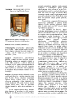 Telefunken Trio-Concert-Service-Manual